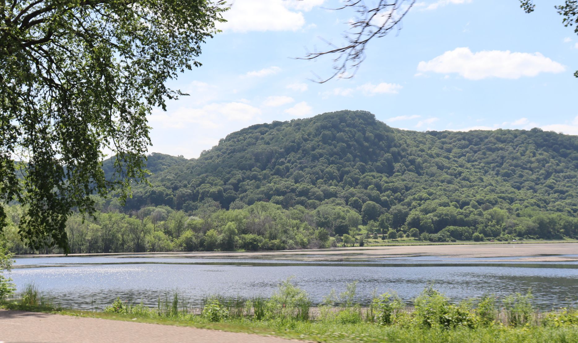 Winona County
